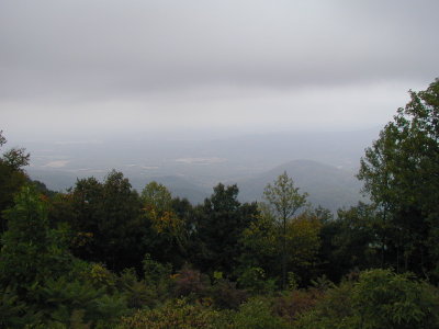 P1010036.JPG