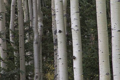 San Juan Mountains, Colorado