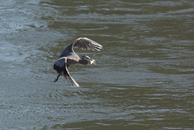chickamauga_10_07