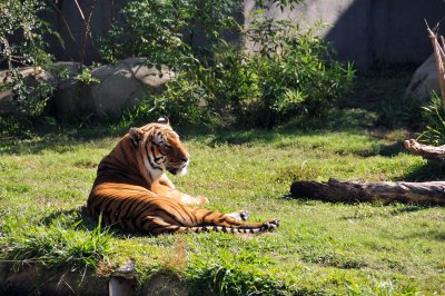 Houston Zoo