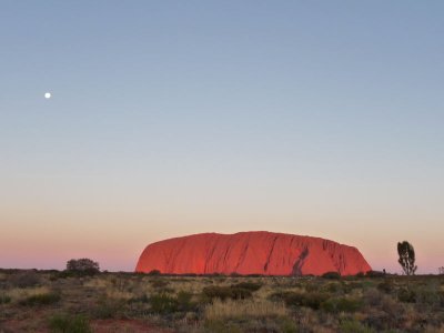 Outback150.jpg