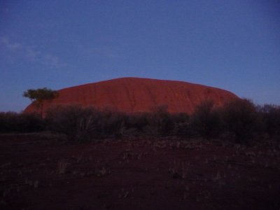 Outback167.jpg