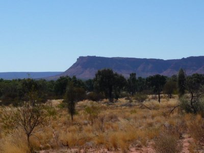 Outback385.jpg