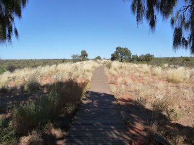 Outback394.jpg
