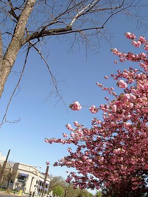 @ Dupont Circle