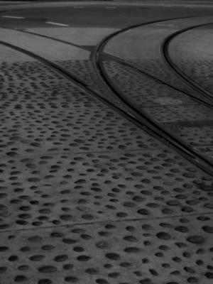 g3/54/534154/3/57259188.IMG_4982.jpg