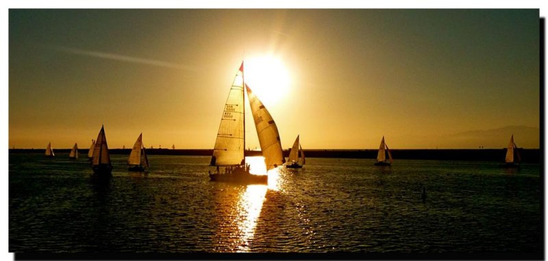 Returning to the Harbor