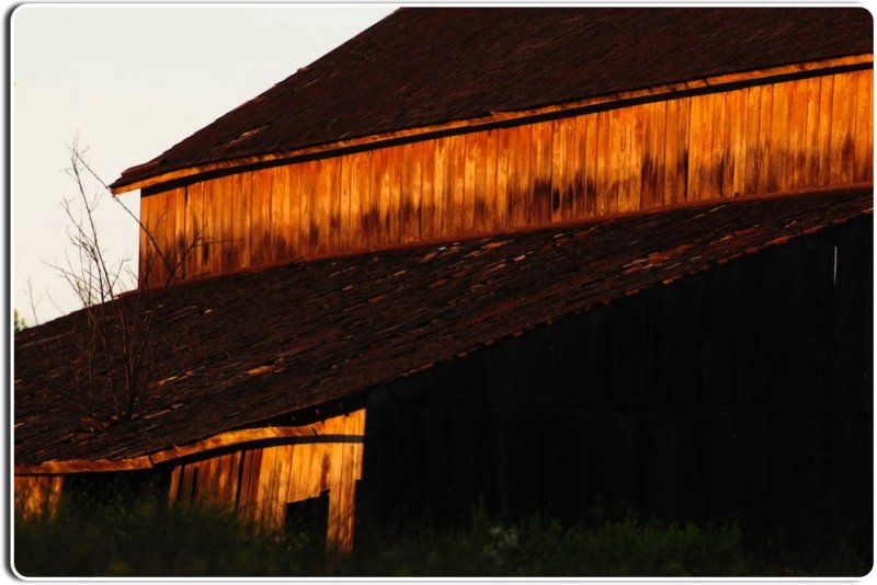 Abandoned Barn, Salinas Valley