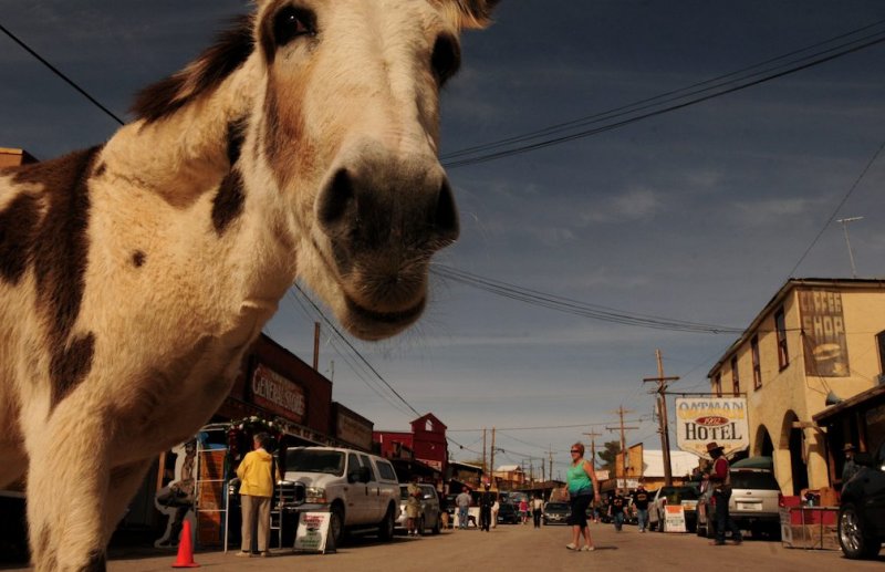 Downtown Seligman