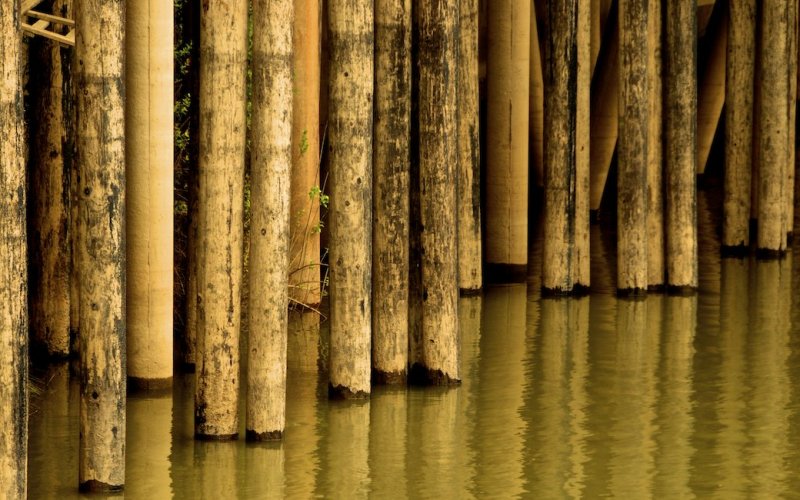Pier Pilings, Sacramento, California