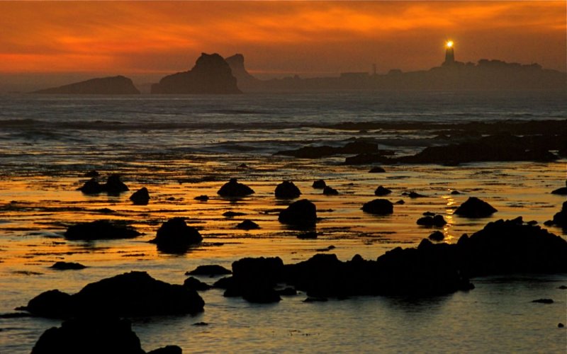 Piedras Blancas - Along the Central Coast of California