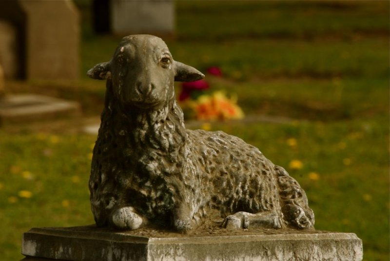 Resting Place