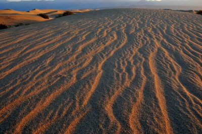 Dune Texture