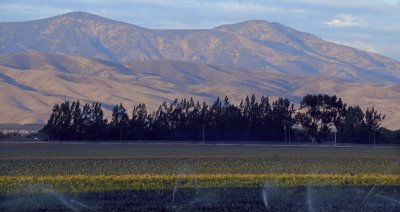 Mauve Sunset Over the Gabilan Mountains, from the Salinas Valley