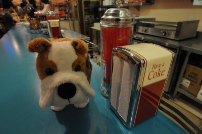 Dog on the Counter at Peggy Sue's Dinner