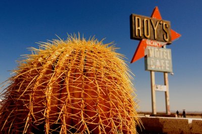 Cactus at Roy's