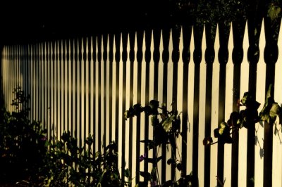 Fence Posts, Nevada City