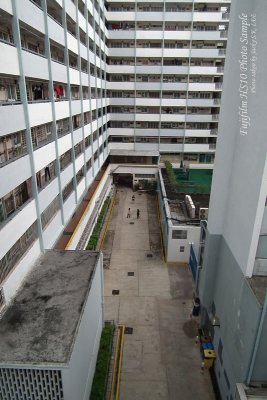 24mm shot (who is playing badminton?)