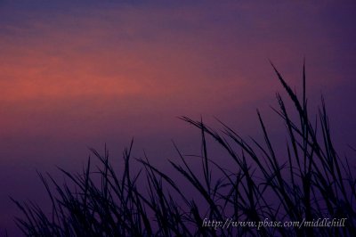 Pak Nai sunset - ժd鸨 - 158