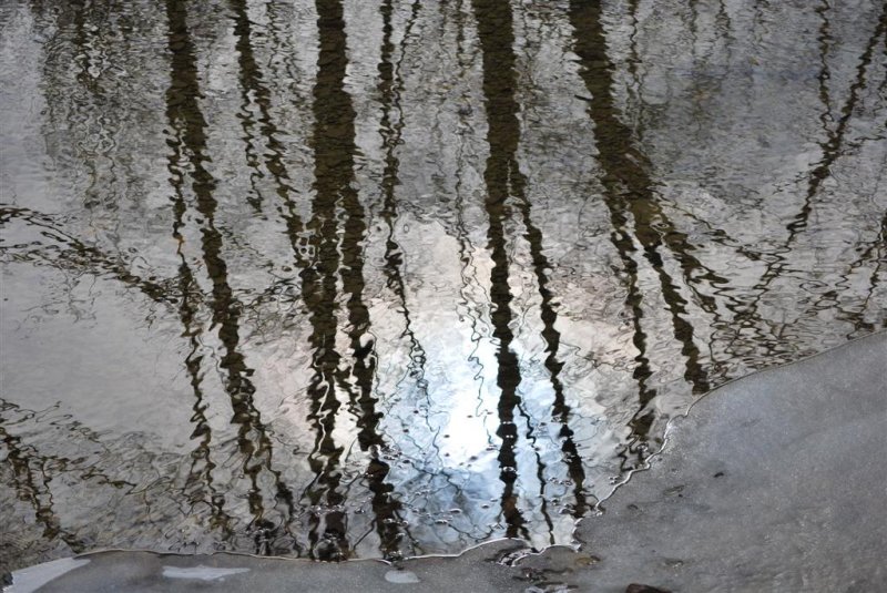 Reflections of Winter