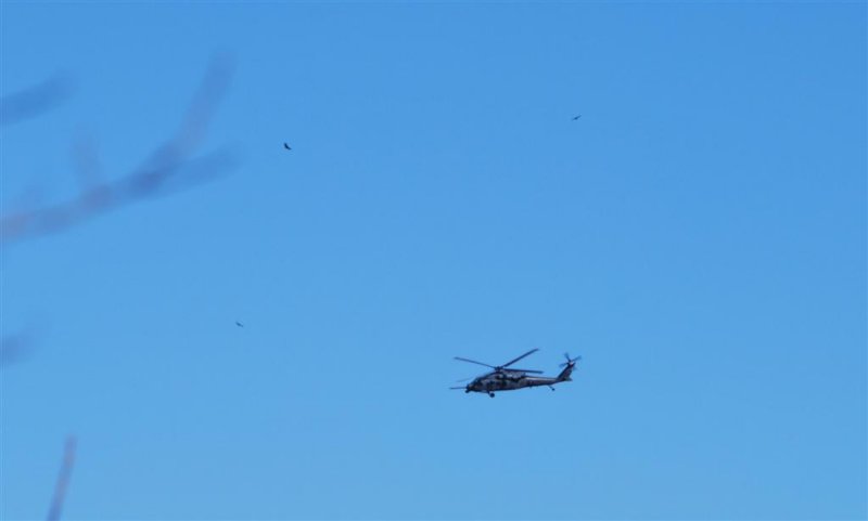 Vultures and Helicopter