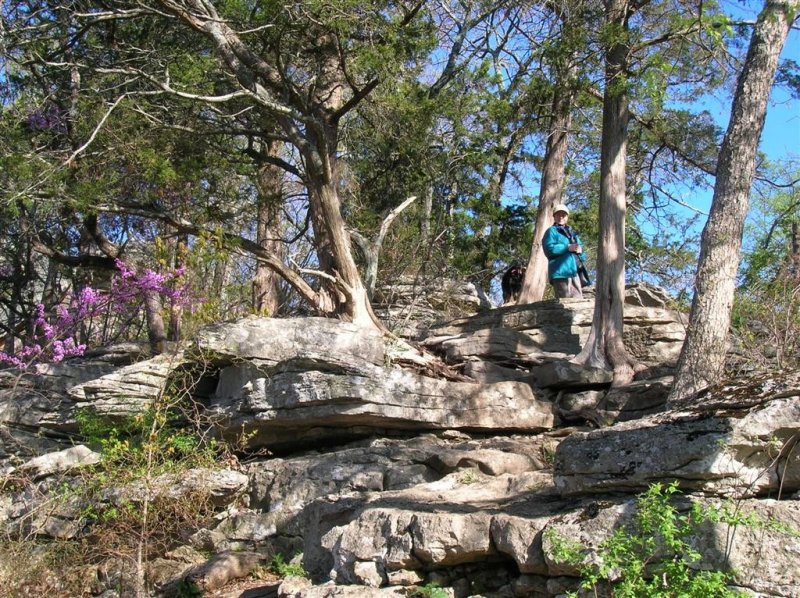 Rocky Trail