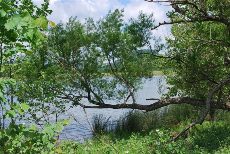 Owsley Fork Reservoir