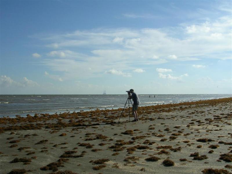Ed Filming Terns at the Gulf