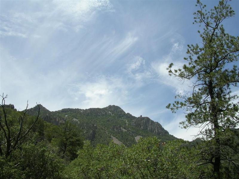 Emory Peak