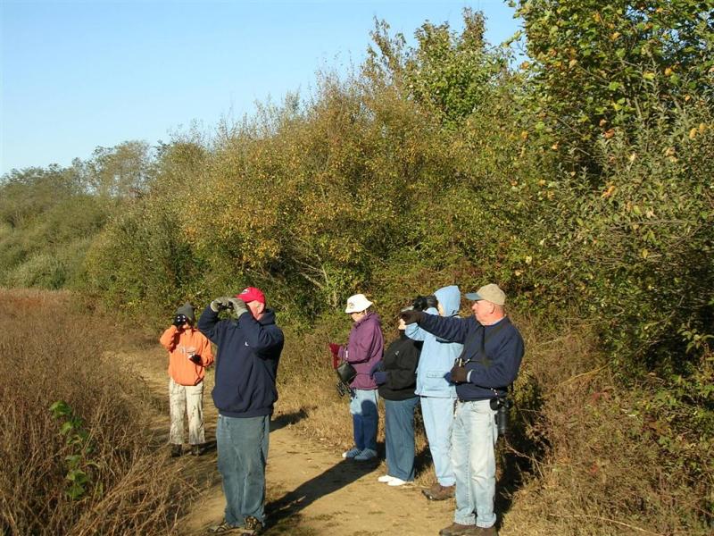 Roger points out a sparrow