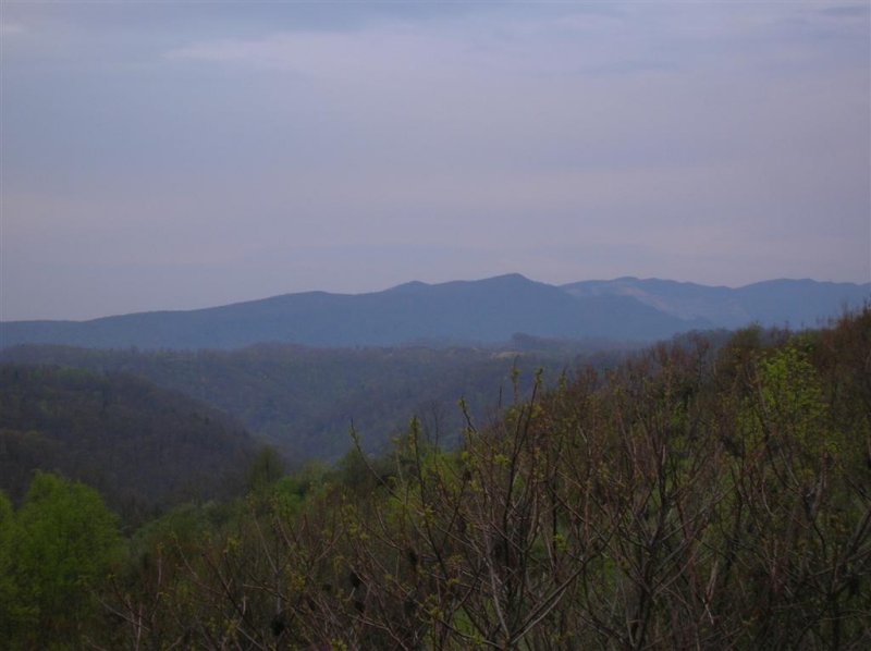 Pine Mountain in Distance