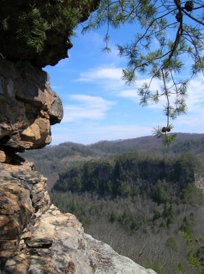 Pine Mountain - March 7, 2009