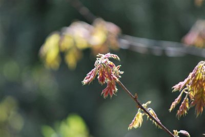 g3/54/616454/3/123479269.HVpyIBtX.jpg