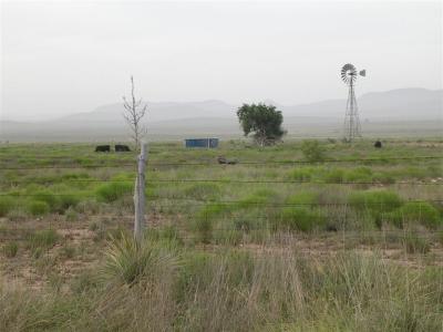g3/54/616454/3/53010689.Texas36.jpg