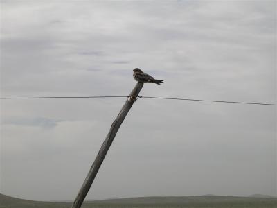 g3/54/616454/3/53010692.Texas39.jpg