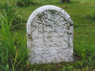 g3/54/616454/3/53427952.Talbott16.jpg