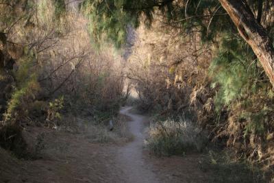 Santa Elena Canyon Trail