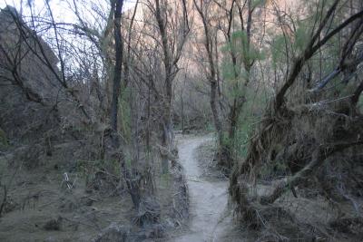 Another View of the Santa Elena Canyon