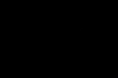 AL4_5235.jpg