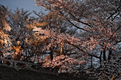05 - Daily Life in Kyoto