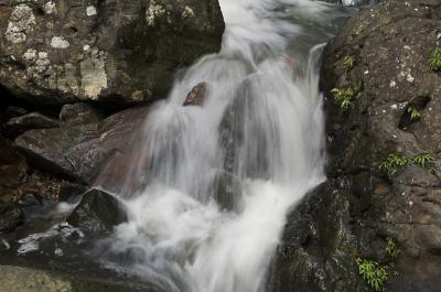 DSC_7965-01.jpg