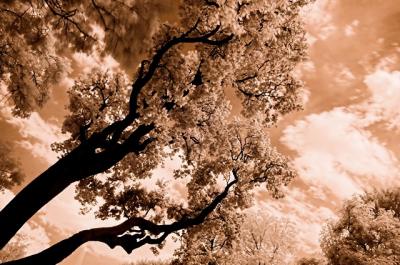 DSC_4041-01[150K].jpg