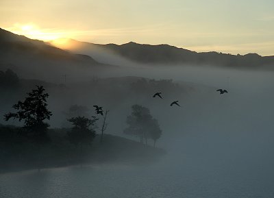 Dawn in Glen Affric, Scotland