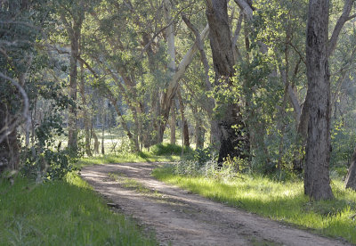 A perfect morning walk.