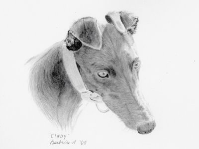 Scan of graphite sketch of Cindy