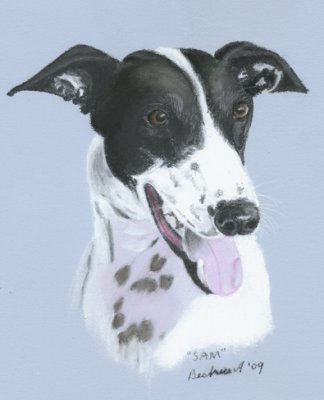 Scan of my friend's deceased Greyhound, Sam.  He was such a lovely dog, a real gentleman.