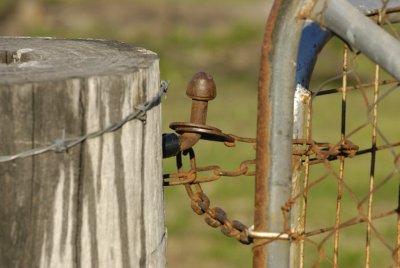 Gate connections