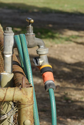 On tap
