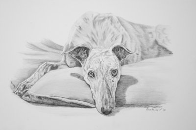 Lainie - completed.  Graphite pencil.