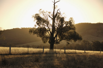 The last of the golden hour